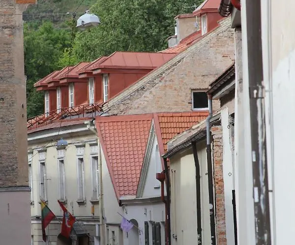 Heart Of Old Town - St. Ann 公寓 维尔纽斯